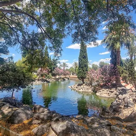 Flamenco Chill Daire Torrevieja