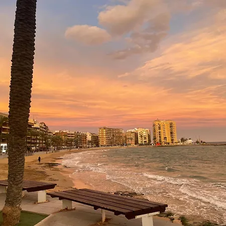 Flamenco Chill * Torrevieja